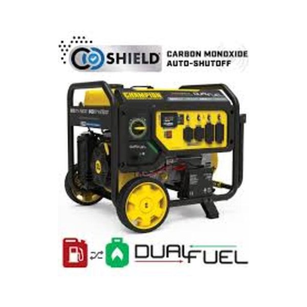 Champion 201281 7500W Electric Start Dual Fuel Generator